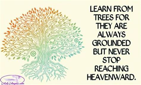 The Tree Will Show You How To Reach The Top Yet Still Remain Grounded