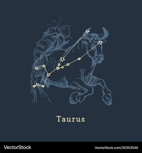Zodiac Constellation Taurus In Engraving Style Vector Image
