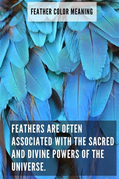 Feather Color Meaning Discover The Hidden Message They Hold