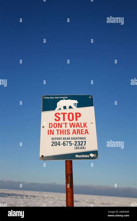Bear Warning Sign Caution Signs Hi Res Stock Photography And Images Alamy
