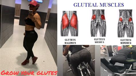 Best Exercises To Grow Your Glutes Youtube