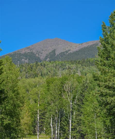 The View Of Mount Humphreys And Its Agassiz Peak One Of The San