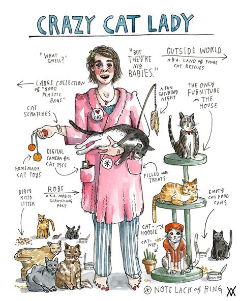 Wendy Macnaughton Artists On Tumblr Crazy Cats Crazy Cat Lady Cat Lady