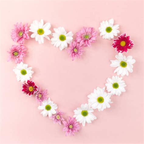 Heart Flower Stock Photos Pictures And Royalty Free Images Istock