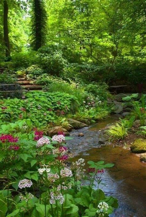 Tranqual And Peaceful And Beautifully Green The Secret Garden Secret