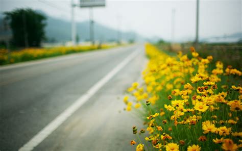 Online Crop Green And Yellow Floral Textile Landscape Flowers Road
