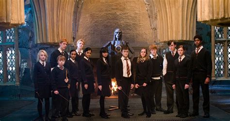 Harry Potter 20 Members Of Dumbledores Army Officially Ranked