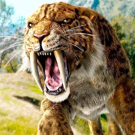 Animales De La Prehistoria Extintos Y Vivos Cinco Noticias 2022
