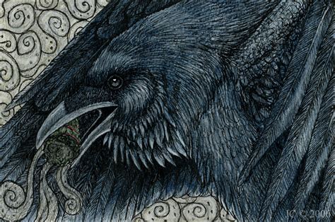 Safe Artist Korppi Bird Corvid Raven Songbird Feral