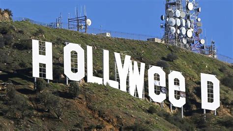 ‘hollyweed Sign Prankster Arrested By Los Angeles Police World News