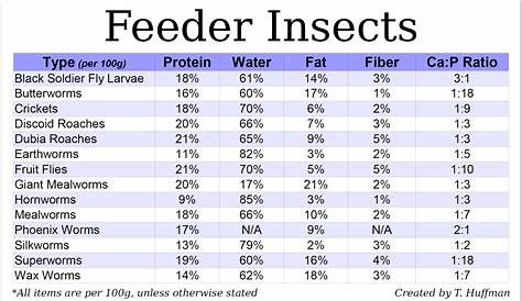 what do bearded dragons eat chart