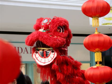The lunar new year celebration traditionally culminates on the 15th day with the lantern festival. Montgomery County Celebrates Lunar New Year With Numerous ...