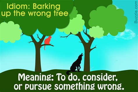 Bark Up The Wrong Tree Liberal Dictionary