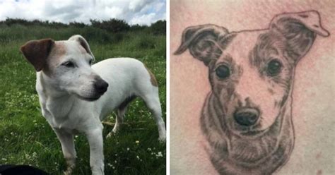 Après Le Décès Du Son Chien Un Homme Se Fait Tatouer Avec Les Cendres