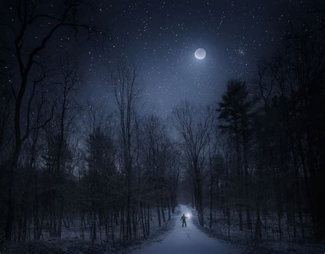 Night In The Forest Quabbin Reservoir Ma Patrick Zephyr Photography