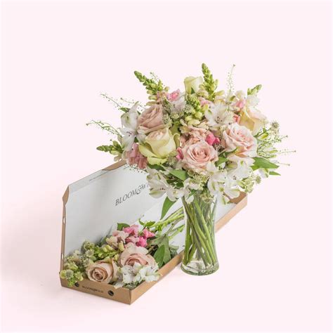 Check spelling or type a new query. FREE Bloom & Wild Letterbox Bouquet - Gratisfaction UK in ...