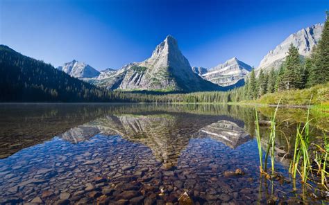 Nature Landscape Lake Turquoise Water Mountains Forest Glacier National
