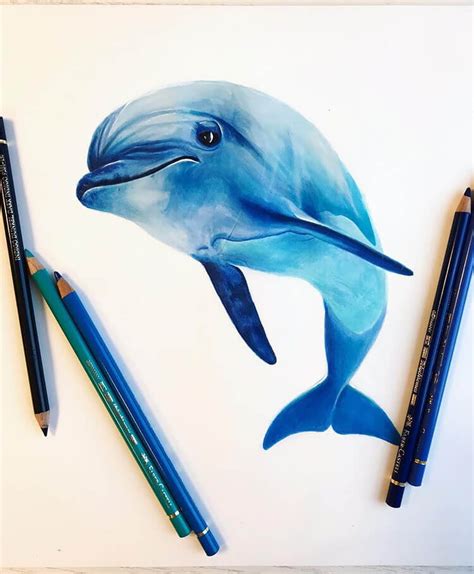 20 Amazing Dolphin Drawing Ideas Beautiful Dawn Designs