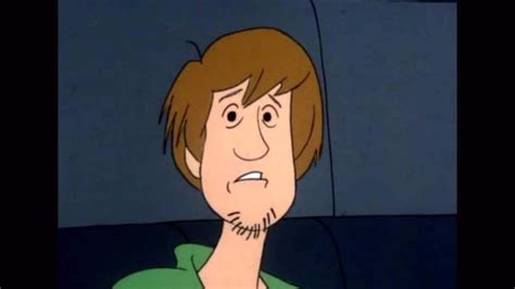 Shaggy Is Not Even Supposed To Be Here Youtube