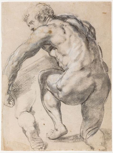 Peter Paul Rubens Male Nude Kneeling My Xxx Hot Girl