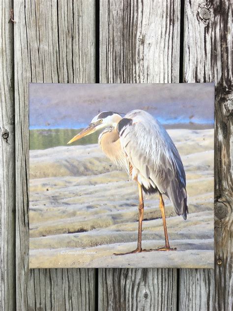 Canvas Print Of Original Photography Great Blue Heron By