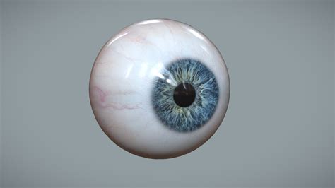 Human Eye For Portrait Artist Buy Royalty Free 3d Model By Vaa