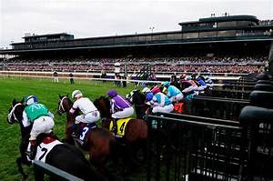 Breeders Cup Set To Be The Highlight Of The Racing Season When Sport