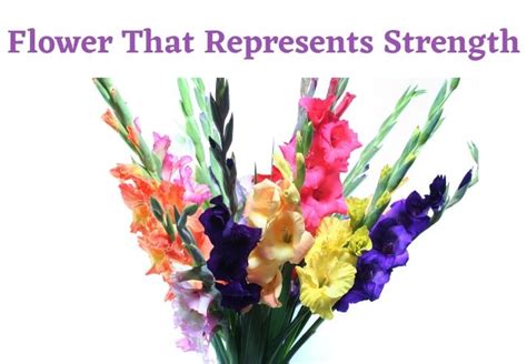 Flowers that symbolize strength and independence. Flower That Symbolizes Strength Archives ...