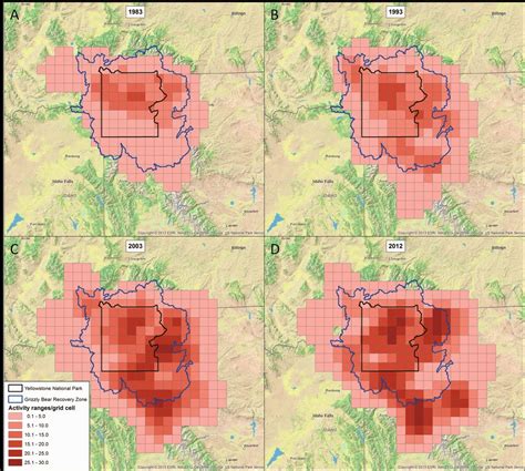 Grizzly Bear Population Density In The Yellowstone