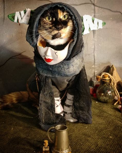 [spoilers c2e1] nott another cat cosplay criticalrole
