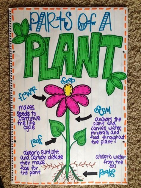 This Science Anchor Chart Is Geared Towards The Parts Of A Plant