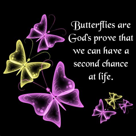 Inspirational Quotes Butterfly Effect I Am A Believer Of The
