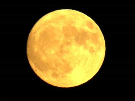 Yellow Moon Stock Photos Pictures And Royalty Free Images Istock