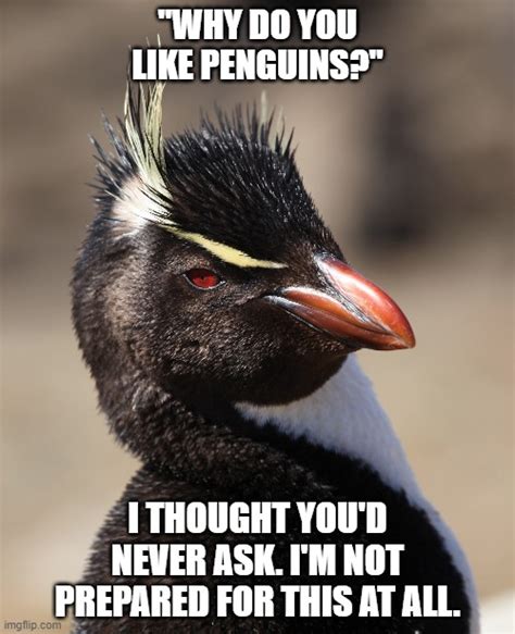 Totally Not Prepared Penguin Imgflip