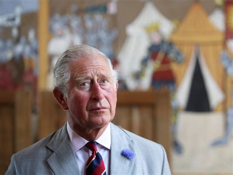 Prince Charles Interventions Will End In Calamity New Statesman