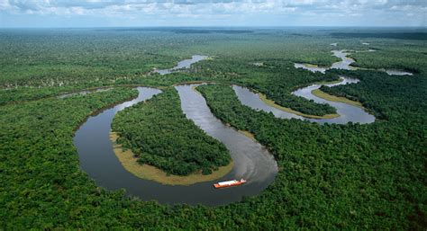 How To Visit The Amazon Rainforest Amazon Travel Guide