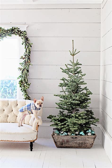 21 Christmas Tree Stand Ideas Lolly Jane