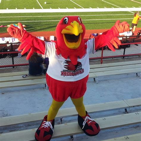 Rowdy The Redhawk