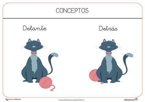 Conceptos Delante Y Detrás