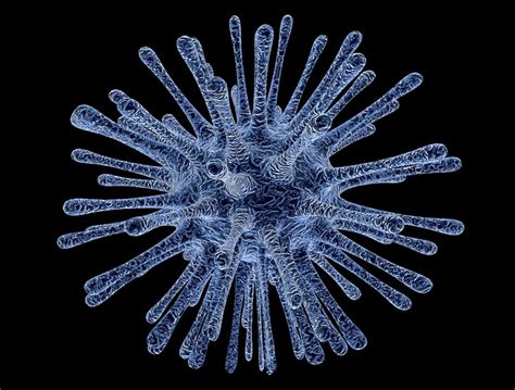Difference Between Disease and Infection | Difference Between