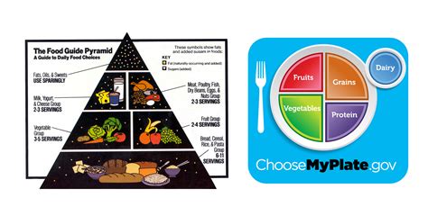 Replacing The Food Pyramid With Myplate Mymedicalforum