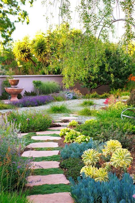 Case Study Wild And Romantic Desert Landscaping Landscaping Tips
