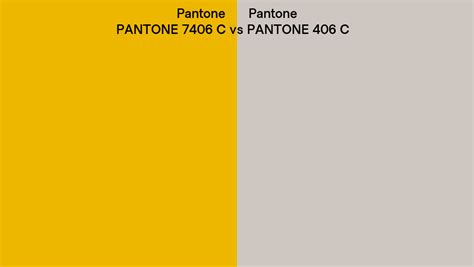 Pantone 7406 C Vs Pantone 406 C Side By Side Comparison