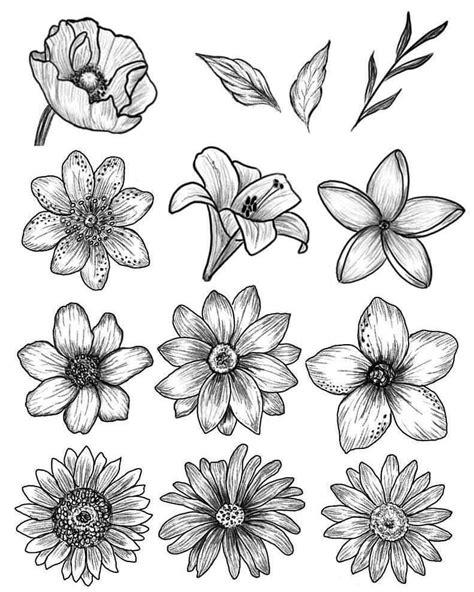 Aesthetic Flowers Bouquets Flowers Drawing Flowers Flower Art