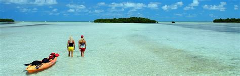 Top 10 Must Do Activities In The Florida Keys And Key West Complete