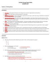 Through the assistance of a blank invoice template. Cell Energy Photosynthesis Worksheet Answers / Photosynthesis And Cellular Respiration Mrs Musto ...