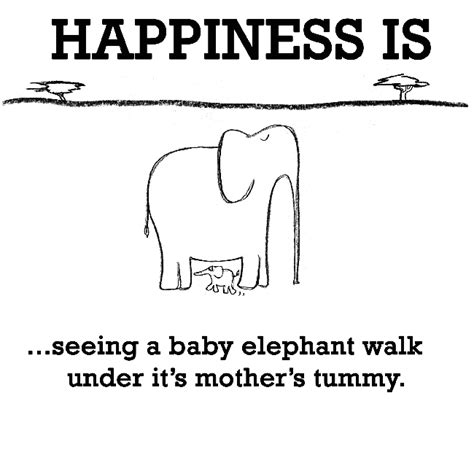 Elephant Quote Cute Happy Quotes Happy Quotes Elephant Quotes