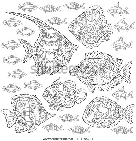 collection tropical fishes coloring page colouring stock vector royalty
