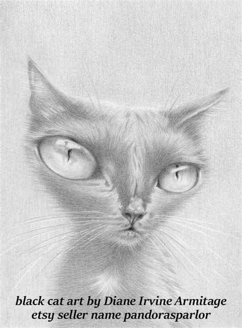 Black Cat Art By Diane Irvine Armitage Black Cat Drawing Black Cat