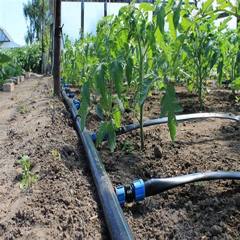 Greenhouse Drip Irrigation System Overhead Sprinkler System For
